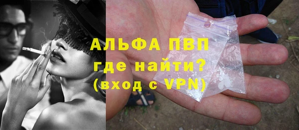 прущие грибы Абаза