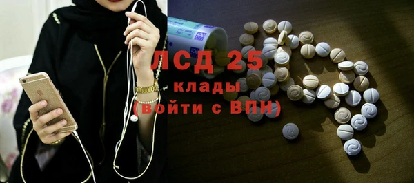 прущие грибы Абаза