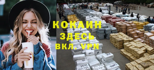 прущие грибы Абаза