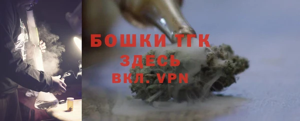 прущие грибы Абаза