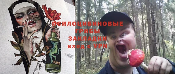 СК Абинск