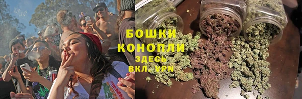 прущие грибы Абаза